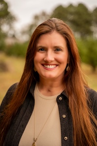 Fissure in Sandstone